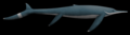 Guizhouichthyosaurus