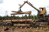 Loading timber