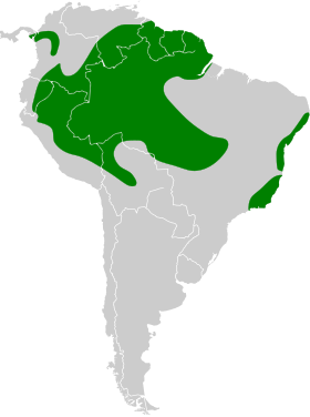 Distribución geográfica de la tangara gorjigualda.