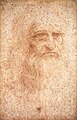 Image 23Leonardo da Vinci, seen here in a self-portrait, has been described as the epitome of the artist/engineer. He is also known for his studies on human anatomy and physiology. (from Engineering)