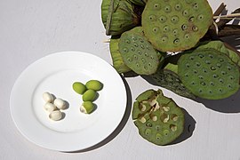 Graines fraîches du fruit à peler avant consommation.