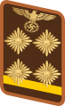 Gorget patch for Obergemeinschaftsleiter