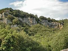 Paroi avec de nombreuses anfractuosités propices aux ruches sauvages.