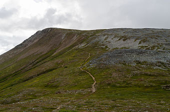 Leden från Nyvallen upp till fjällets topp.