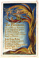 Songs of Innocence and of Experience, copy Z, 1826 (Library of Congress) object 11 The Blossom ‎