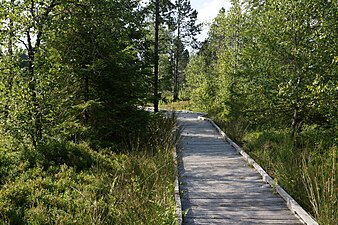 Le chemin de découverte sur pilotis.