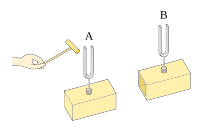 Two tuning forks being sounded by a hand (on the left).