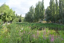 新疆塔城五弦河国家湿地公园