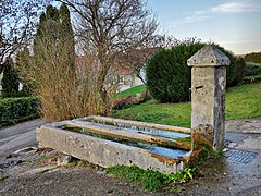 La fontaine-abreuvoir.