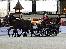 Dans une carrière d'exposition, un attelage mené par deux chevaux bai foncés.