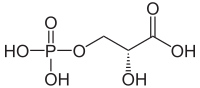 Skeletal structure of 3-Phosphoglyceric acid