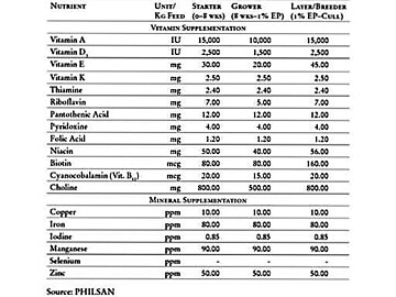 Nutrition specifications for egg-type duck (balut)