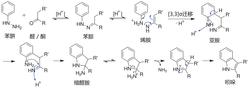 Fischer吲哚合成 机理