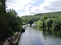 A tree-lined part of the Thames in the Goring Gap.