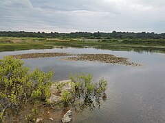 Der Teich Dračevica im Frühsommer