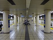 Iidabashi (Yūrakuchō Line), Tokio; Für zahlreiche japanische Stationen typischer gestalterisch schlichter Entwurf