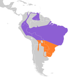 Distribución geográfica del mosquero de Euler.