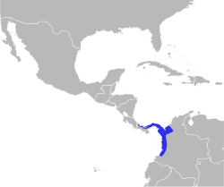 Distribución geográfica del saltarín cuellidorado.