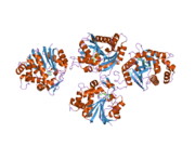 2iip: Human Nicotinamide N-methyltransferase