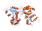 2o3q: Structural Basis for Formation and Hydrolysis of Calcium Messenger Cyclic ADP-ribose by Human CD38