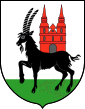 Brasão de armas de Wieruszów