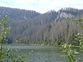 Blick Richtung Seewand bzw. Adalbert-Stifter-Denkmal