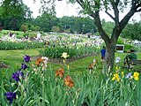 Presby Memorial Iris Gardens