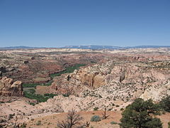 La gargante del Escalante Raguas arriba de la confluencia con el arroyo Boulder. La meseta Aquarius es visible al fondo.