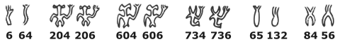 ligatures of various glyphs with the allographs 6 and 64
