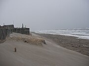 現在の海岸の風景