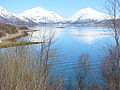 Blik nach Norden auf den Tjeldsund