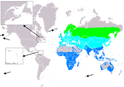 Distribución de T. nebularia     Área reprodutora      Área non reprodutora      De paso      Aves errantes (estacionalidade incerta)