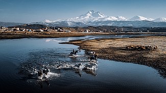 Eber Gölü - Fotoğraf:OzcelikMurat