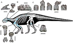 Description de l'image Yuxisaurus.jpg.