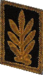 петлицы мпс 1973