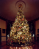 The 1995 official White House Christmas tree