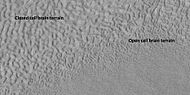 Open and closed brain terrain with labels, as seen by HiRISE under HiWish program Image location is Ismenius Lacus quadrangle.