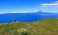 亚速尔群岛的皮庫山