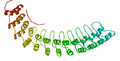 Fragment of the membrane-binding domain of ankyrin 1, showing ankyrin repeats