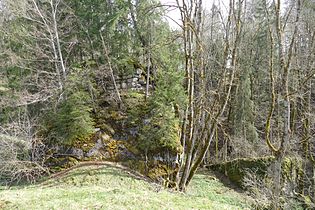 Burg und Findling Baltenstein