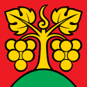 Bühl – Bandiera