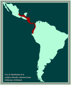 Mapa de distribución de C. derbianus