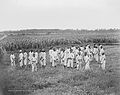 Image 12Juvenile African-American convicts working in the fields in a chain gang, photo taken c. 1903 (from Civil rights movement (1896–1954))
