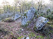 Dolmen de Cabrone