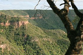 Brejo de altitude na Chapada do Araripe, Ceará.