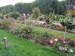 Jardin des plantes de Paris