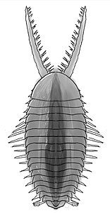 A restoration of Kiisortoqia