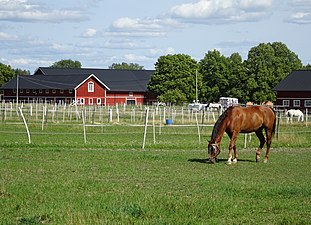 Lejondals Ryttarföreningens hästhagar