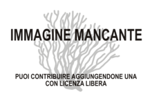 Immagine di Ignis rubeus mancante