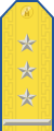 Parade uniform shoulder board (Colonel)